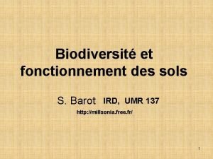 Biodiversit et fonctionnement des sols S Barot IRD