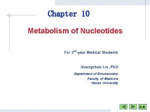 Chapter 10 Metabolism of Nucleotides For 2 ndyear