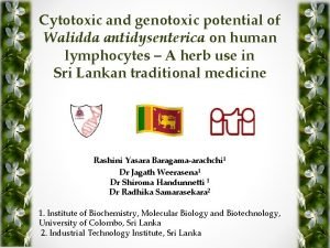 Cytotoxic and genotoxic potential of Walidda antidysenterica on