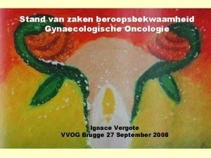 Stand van zaken beroepsbekwaamheid Gynaecologische Oncologie Ignace Vergote