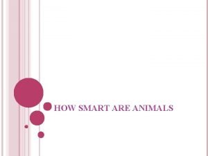 HOW SMART ARE ANIMALS BELLWORK TUES AUG 16