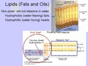 Lipids Fats and Oils Nonpolar will not dissolve