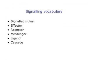 Signalling vocabulary Signalstimulus Effector Receptor Messenger Ligand Cascade