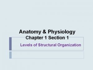 Anatomy Physiology Chapter 1 Section 1 Levels of