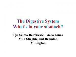Whats in the digestive system