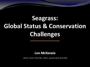 Seagrass Global Status Conservation Challenges Len Mc Kenzie