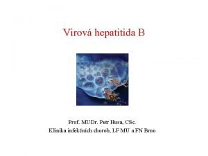 Virov hepatitida B Prof MUDr Petr Husa CSc