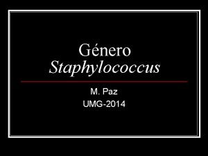 Gnero Staphylococcus M Paz UMG2014 Gnero Staphylococcus Familia