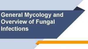 General Mycology and Overview of Fungal Infections Learning