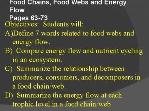 Food Chains Food Webs and Energy Flow Pages
