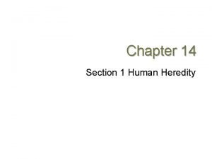 Chapter 14 Section 1 Human Heredity Human Chromosomes