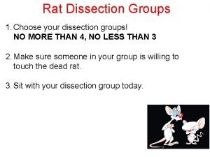 Rat Dissection Groups 1 Choose your dissection groups