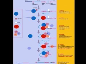 Watson et al BIOLOGIA MOLECOLARE DEL GENE Zanichelli