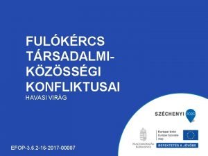 FULKRCS TRSADALMIKZSSGI KONFLIKTUSAI HAVASI VIRG EFOP3 6 2