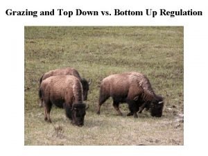 Grazing and Top Down vs Bottom Up Regulation