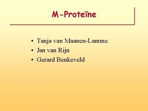 Gerard van rijn Gerard van rijn