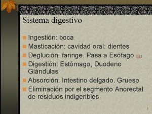 Sistema digestivo n Ingestin boca n Masticacin cavidad