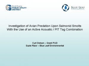 Investigation of Avian Predation Upon Salmonid Smolts With