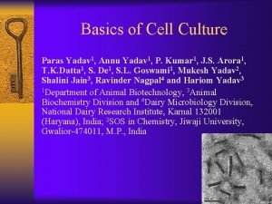 Basics of Cell Culture Paras Yadav 1 Annu