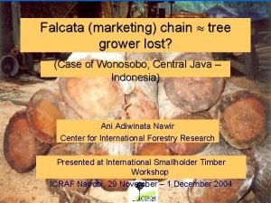 Falcata marketing chain tree grower lost Case of