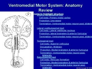 Motor system