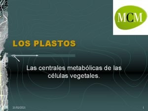 LOS PLASTOS Las centrales metablicas de las clulas