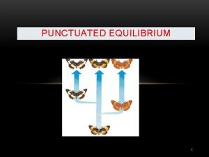 PUNCTUATED EQUILIBRIUM 1 Punctuated Equilibrium Some biologists claim