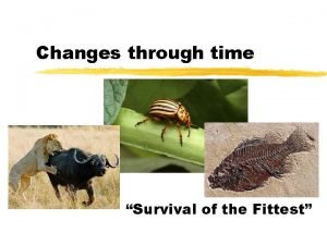 Changes through time Survival of the Fittest Evidence