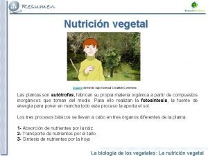 Nutricin vegetal Imagen de fondo bajo licencia Creative