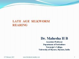 Disadvantages of silkworm