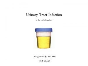 Urinary Tract Infection in the pediatric patient Meaghan