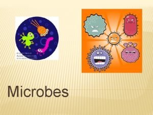 Microbes Microbes Microbe Another a microscopic organism word