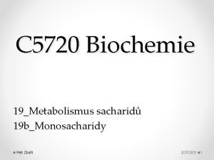 C 5720 Biochemie 19Metabolismus sacharid 19 bMonosacharidy Petr