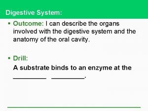 Digestive System Outcome I can describe the organs