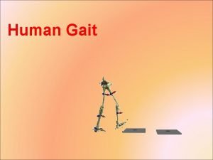 Human Gait Gait is the process or components
