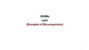 140 MBio Lab8 Examples of Microorganisms 1 Grouping