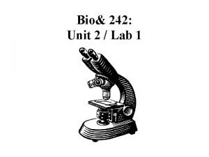 Bio 242 Unit 2 Lab 1 Histology Slides