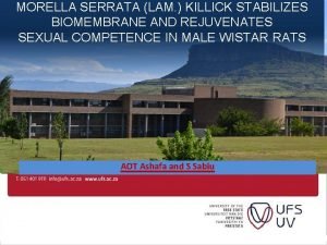 MORELLA SERRATA LAM KILLICK STABILIZES BIOMEMBRANE AND REJUVENATES