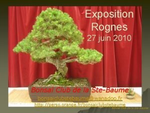 Exposition Rognes 27 juin 2010 Bonsa Club de