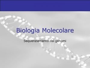 Biologia Molecolare Sequenziamento dei genomi Il pirosequenziamento pu