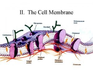 II The Cell Membrane A Cell Membrane Function