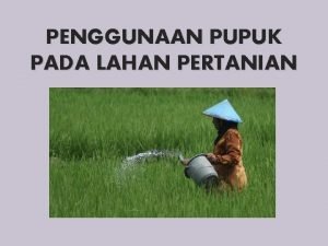 PENGGUNAAN PUPUK PADA LAHAN PERTANIAN MAU PAKAI YANG