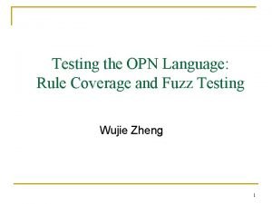 Testing the OPN Language Rule Coverage and Fuzz