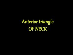 Anterior median plane of neck