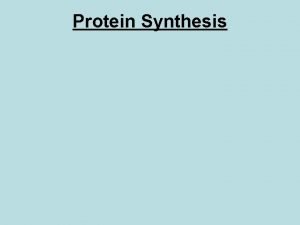 Steps of protein synthesis