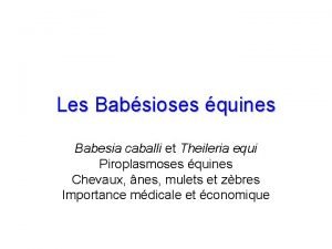 Les Babsioses quines Babesia caballi et Theileria equi