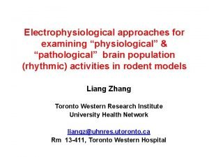 Electrophysiological approaches for examining physiological pathological brain population
