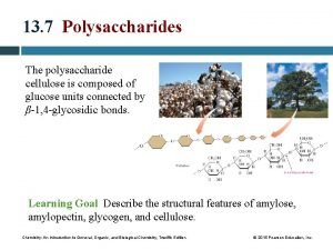 Cellulose introduction