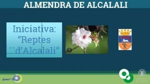 ALMENDRA DE ALCALALI Iniciativa Reptes dAlcalali Editado para