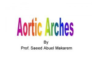 4th aortic arch derivatives